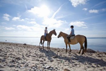 Reiten am Strand Ostsee